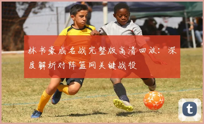 林书豪成名战完整版高清回放：深度解析对阵篮网关键战役