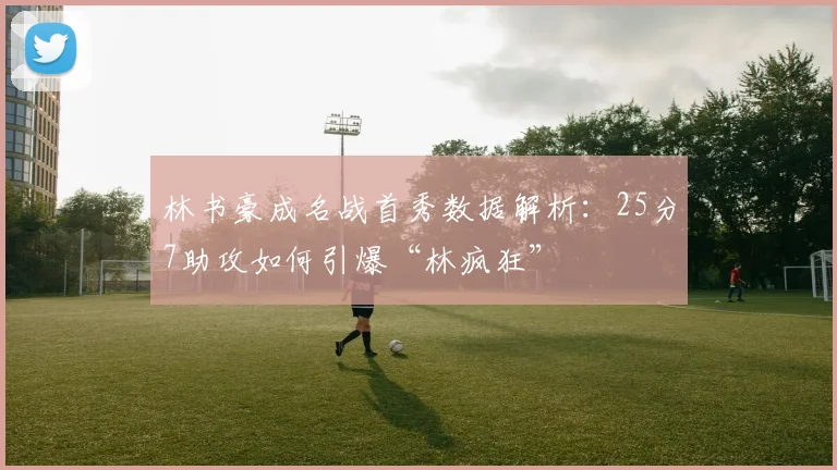 林书豪成名战首秀数据解析：25分7助攻如何引爆“林疯狂”
