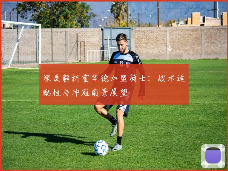 深度解析霍华德加盟骑士：战术适配性与冲冠前景展望