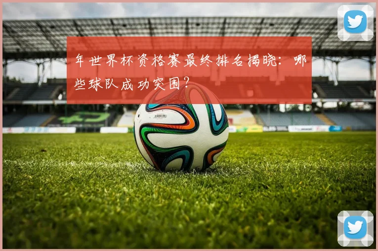 年世界杯资格赛最终排名揭晓：哪些球队成功突围？