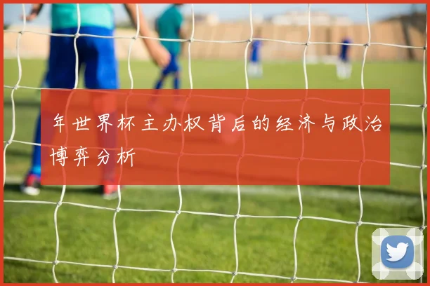 年世界杯主办权背后的经济与政治博弈分析