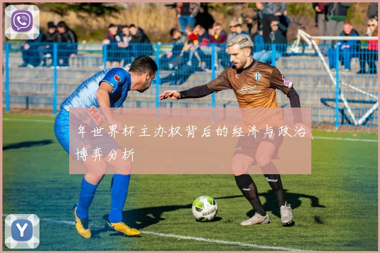 年世界杯主办权背后的经济与政治博弈分析