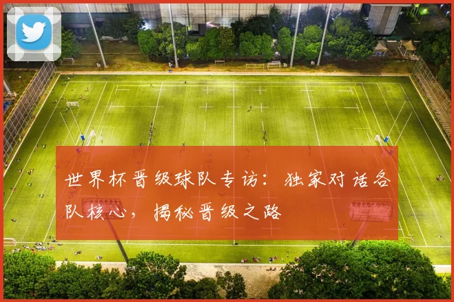 世界杯晋级球队专访:独家对话各队核心,揭秘晋级之路