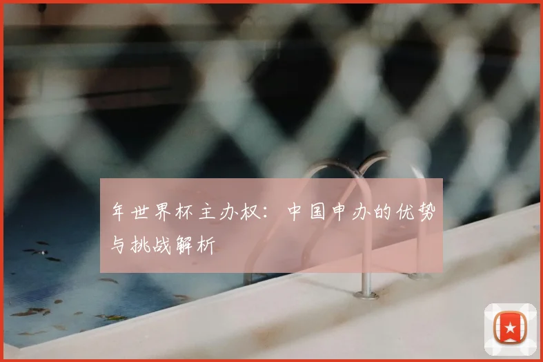 年世界杯主办权:中国申办的优势与挑战解析