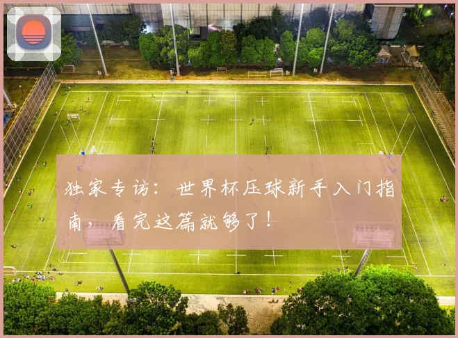 独家专访：世界杯压球新手入门指南，看完这篇就够了！