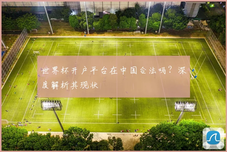 世界杯开户平台在中国合法吗？深度解析其现状