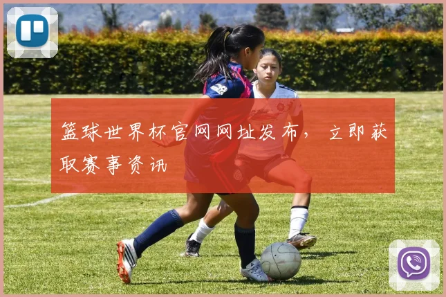 篮球世界杯官网网址发布,立即获取赛事资讯