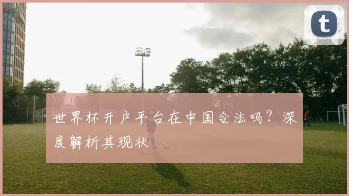 世界杯开户平台在中国合法吗？深度解析其现状