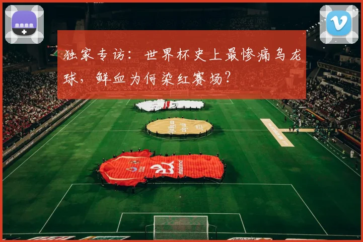 独家专访：世界杯史上最惨痛乌龙球，鲜血为何染红赛场？