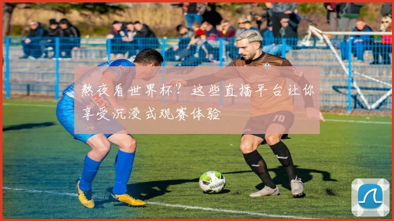 熬夜看世界杯？这些直播平台让你享受沉浸式观赛体验